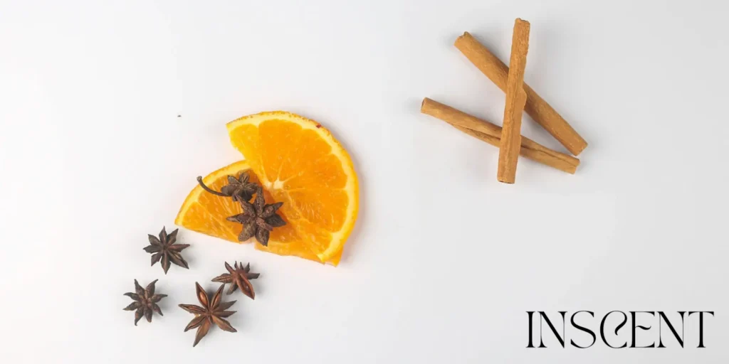 Tranches d’orange, badiane et bâtons de cannelle – matières premières naturelles utilisées en parfumerie – visuel pour l’article Les secrets du parfum par INSCENT
