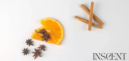 Tranches d’orange, badiane et bâtons de cannelle – matières premières naturelles utilisées en parfumerie – visuel pour l’article Les secrets du parfum par INSCENT